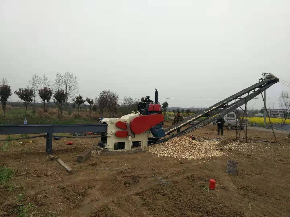 Singapore customers buy our wood chipper